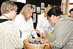 FNA_8379.jpg