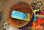 FNA_8814.jpg