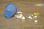 FNA_8879.jpg