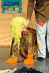 FNA_6934.JPG