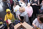 FNA_0260.JPG